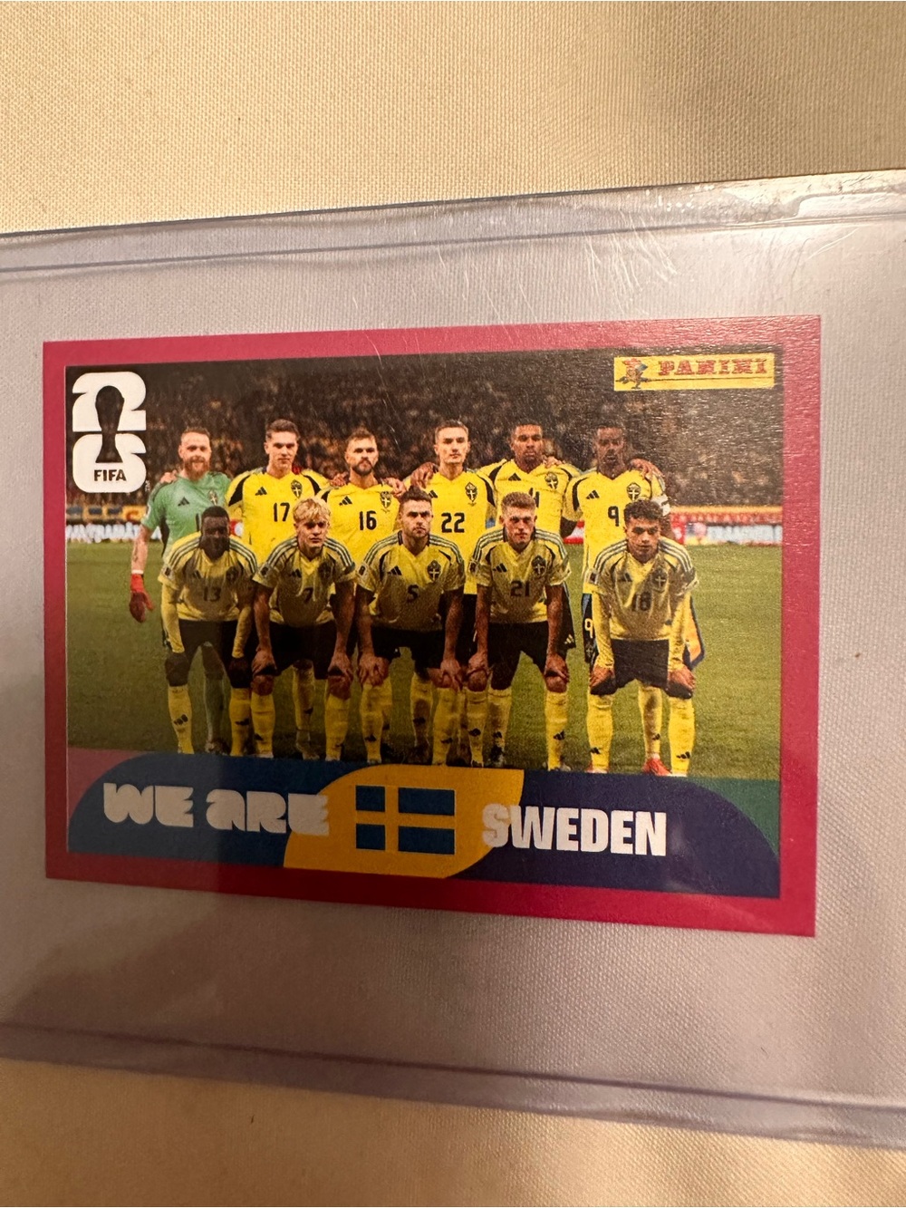 Panini FIFA 'We Are Sweden' Team Sticker - SWE 13